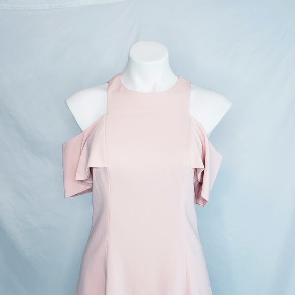 JayGodfrey Ruffle Sleeve Fit & Flare Dress Pink - Picture 2 of 13